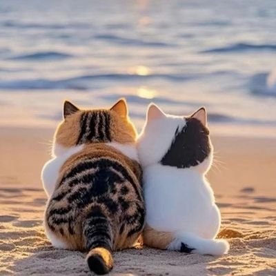 🫶 5 2 0 🫶さんのプロフィール画像
