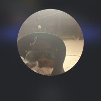 Fully auto Mook (@fullyautomook44) 's Twitter Profile