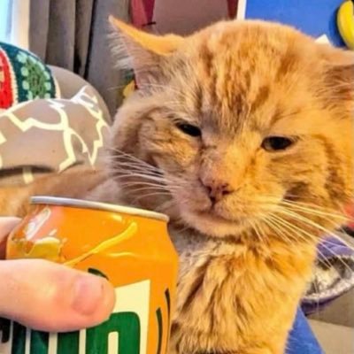 โ๏ธArtistic Riverclan Medicine Cat. ๐โฐ๏ธShe/They || โช๏ธ ADULT. MDNI. I mostly vent here now sorry lolโ๐ป