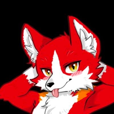 ゲン&ヴェル🐾名取…さんのプロフィール画像
