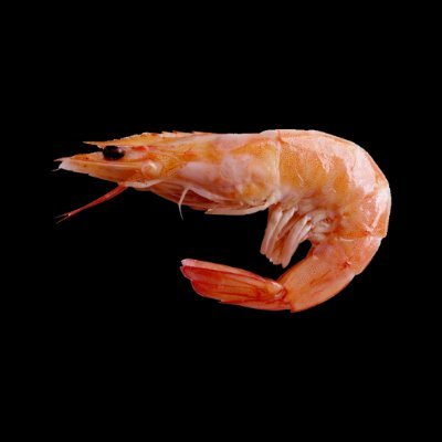 ShrimPort's profile picture. - Español 🇸🇻 / English -
- Video Games supremacy -
- Science fiction / Fantasy -
-Blender For Fun / Ports-

All ports here: https://t.co/3XjdcCR86X