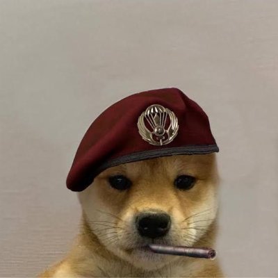 generalwuf's profile picture. 