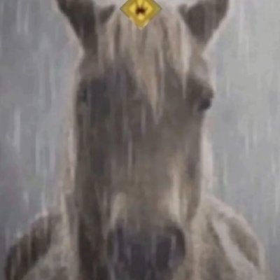 ZicaoCaozi620's profile picture. 