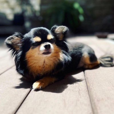 kk_0519_tomochi's profile picture. 🌏あとは余生🏴‍☠️今はこんなに好きでもいつかきっと色褪せてしまう。