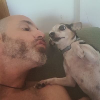 A veces me sale la vena hater pero soy majo.
Si tengo que sacar la lengua viperina, pues la saco...
No me tomes demasiado en serio, que soy un provocador.