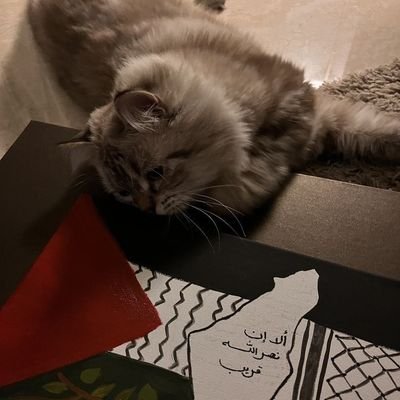 English language/Minor French 🎓👩🏫
وَ ارْحَمْنِي إِذَا انْقَطَعَ مِنَ الدُّنْيَا أَثَرِي.
