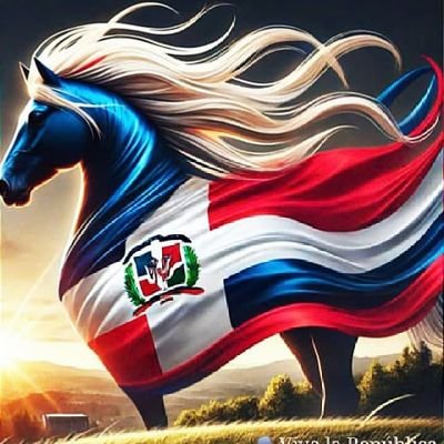 Una dominicana qué ama y defiende su #PATRIA si fuese preciso con mi vida. Hoy la #RD se encuentra en su peor momento desde nuestra independencia en el 1844.