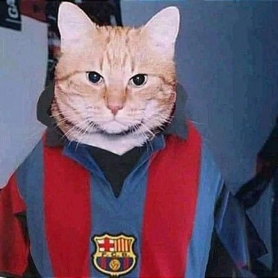 Baloobroer's profile picture. 