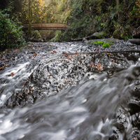 GriffinVir35925's profile picture. Currently practicing law in corporate litigation. I'm inspiring and tech-savvy, with a passion for drawing, bowling, camping, drone flying.