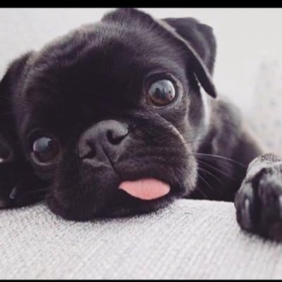 Lissieg5's profile picture. Freedom / No censorship / People First 🚫 No DMs