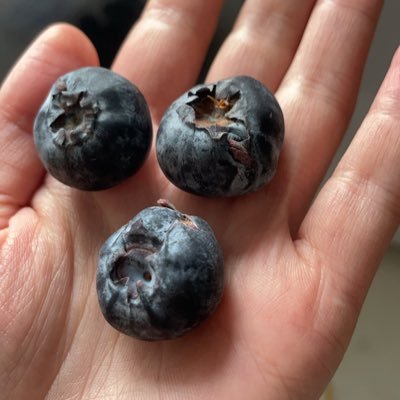 lxf501122890's profile picture. 