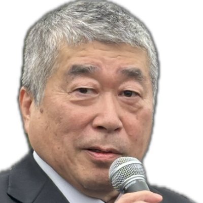Member of the House of Councillors, Parliament of Japan