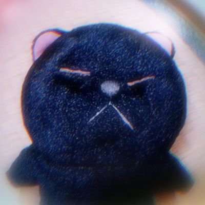 SnYbi9's profile picture. ぬい撮り/くろねこ好き/無言フォロー失礼します🐈‍⬛