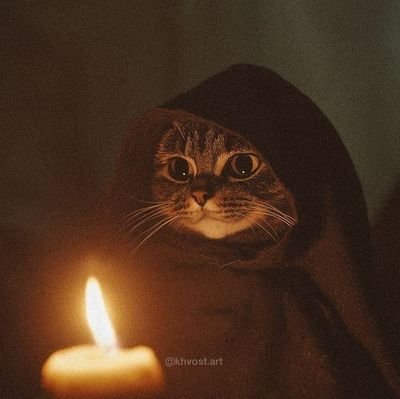 _JarvisMartin_'s profile picture. 