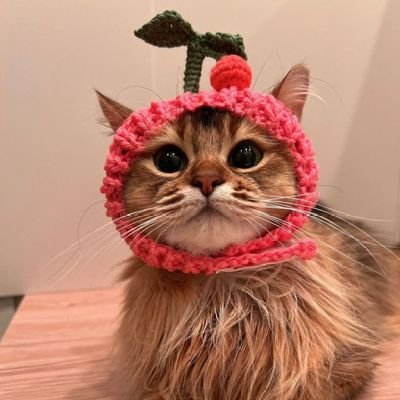 Shin_Takaaki's profile picture. 元歴史・雑学サイトアカウント。今後は個人アカウントとしていろいろつぶやいていきます。