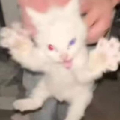 KnotFreddy332's profile picture. kinda sfw account here: @NotFreddy332
(dont follow me if youre a minor or else)

this is where i upload my NSFW art lol