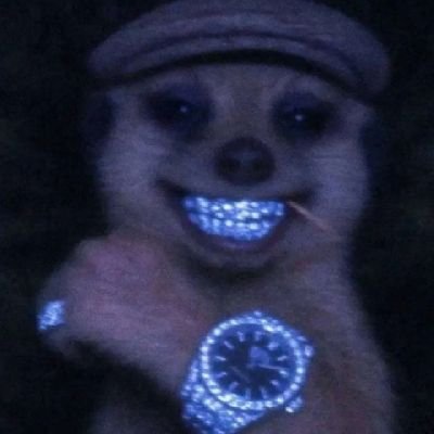 BiigZaza's profile picture. slowly, then all at once accelerate