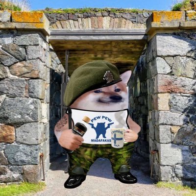 #NAFO #NAFOFellas #NAFOExpansionIsNonNegotiable 🇺🇦
Sniffing lies fetching facts. Wagging tail for equality, human rights, democracy. Is not working for CIA.
