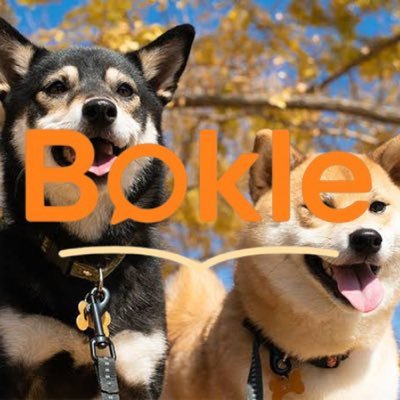@Bokle_review 技術書レビューコミュニティ開発しています!/高校時代の友人と2人でサービス開発しています/エンジニア目線でのエンジニアに役に立つ情報などポストします/20代後半/仲間も随時募集中です!/調べた事などをポストします/Golang/Next.js