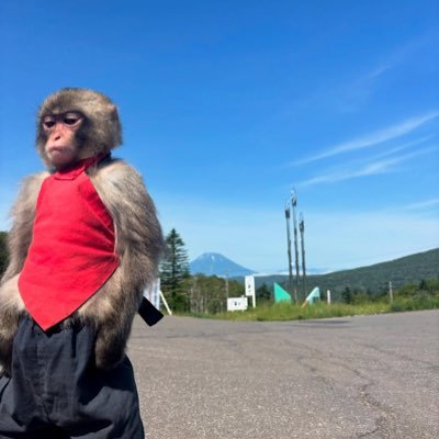 notdawnpls's profile picture. Resolute.