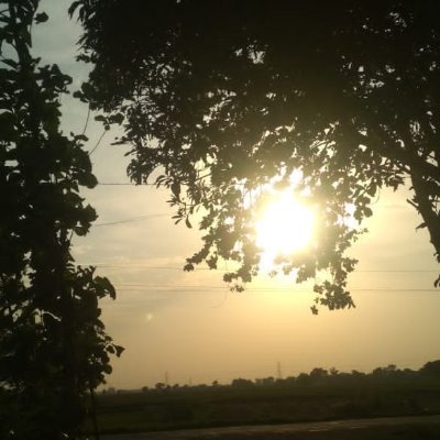 SuperXpress77's profile picture. Curious to learn new things