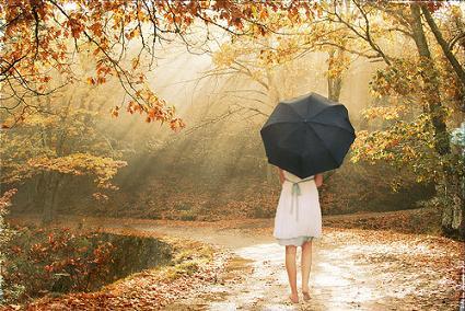 elit_fall's profile picture. 