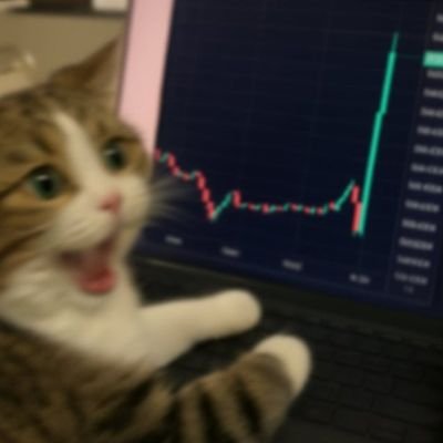Crypto nerd since 2014 / early investor in #ETH and #DOGE /
#LINK marine /
Swing trader