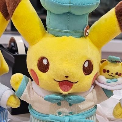 na_channnn00's profile picture. ポケカ再熱してるけどただポケモン好きで集めてただけだから今のポケカについていけてない😇むむむ🏠のローンのために投資勉強頑張りたい。