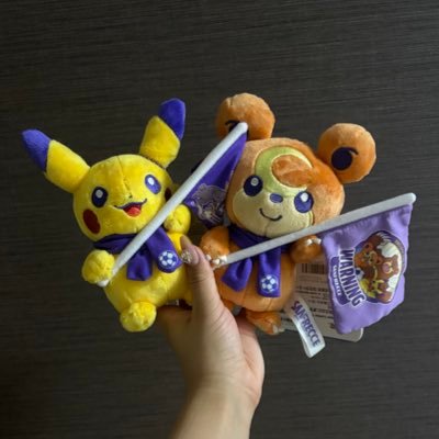 17_sr_1126's profile picture. 🚺広島在住のサンフレサポ 無言フォローお許しください🙇‍♀️