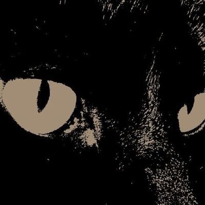 09arcticepic's profile picture. Proud to be American