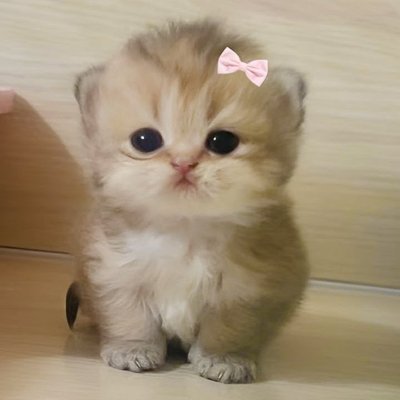 21Bleck's profile picture. 