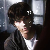 l3n4 is an angel🫐 (@samsfuzzysocks) 's Twitter Profile