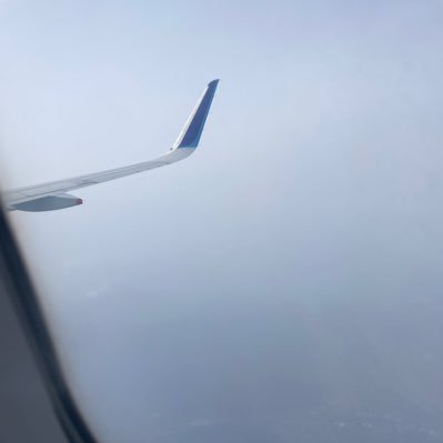 hakodatehascop's profile picture. 仏の座