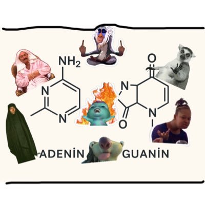 benpurine's profile picture. 🇹🇷