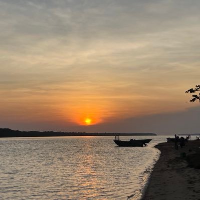 Listen4Silences's profile picture. 