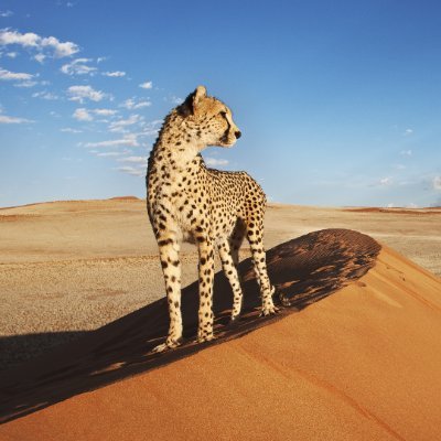 P80378374Poudel's profile picture. AI is the meta right now.

OpenLedger is the blockchain built for it
𓊈𒆜🐙𒆜𓊉
𒆜🐙𒆜