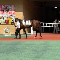 グラシュー (@hihk2e8dup47201) 's Twitter Profile