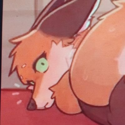 just a feral girly wanting some hooman cock!!!! 🦊
pls dm first very nervous ):
age in location :3