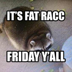 @FatRaccFriday