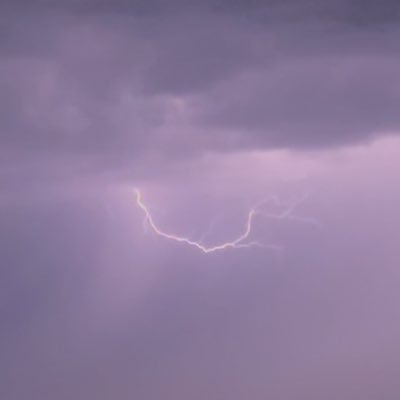 Monteirosis's profile picture. 