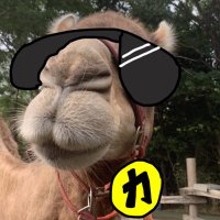 けー🐪 (@osarutwinsboy27) / X