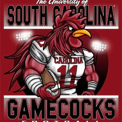 Die hard Gamecock in enemy territory. Just living the dream hahaha