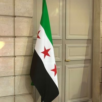 شاب سوري منحاز إلى الثورة السورية وضد آلة الأسد العسكرية الإجرامية