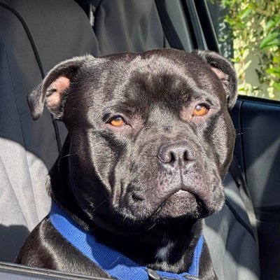 Gdaddy58X's profile picture. 