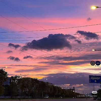 toukenn_kaku's profile picture. 