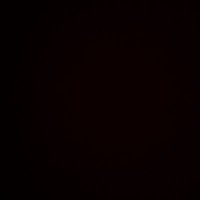 . (@reef_madv) 's Twitter Profile