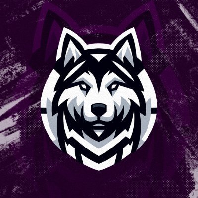 Eddieecs2's profile picture. 19 y/o player for @HuskJuelichgg