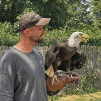 Leo Ben (@leo_ben84435) 's Twitter Profile