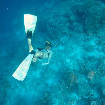 annatarrida's profile picture. 