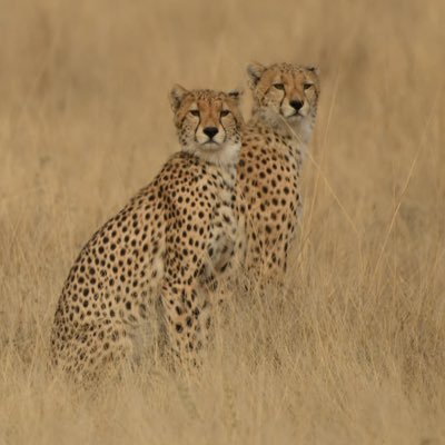 lavaflow63's profile picture. 